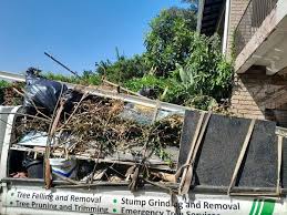 Property Management Cleanouts in Todd Creek, CO