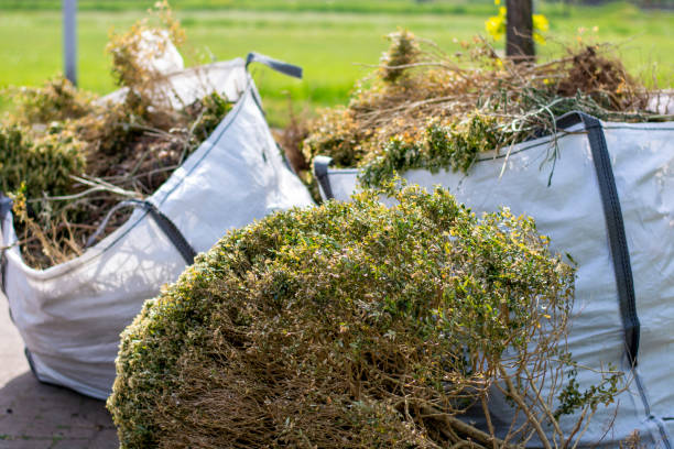 Trusted Todd Creek, CO Junk Removal Services Experts
