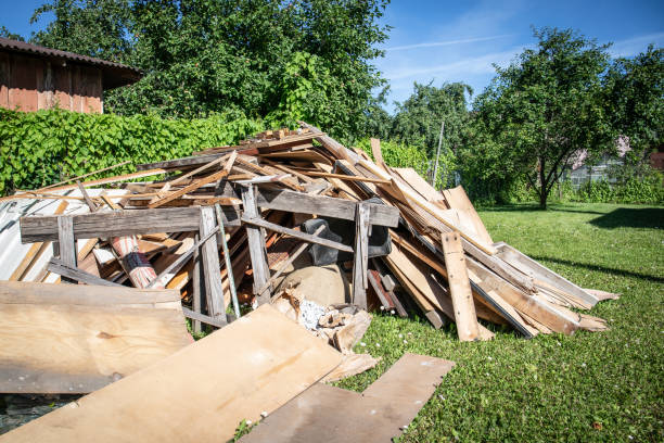 Best Shed Removal  in Todd Creek, CO